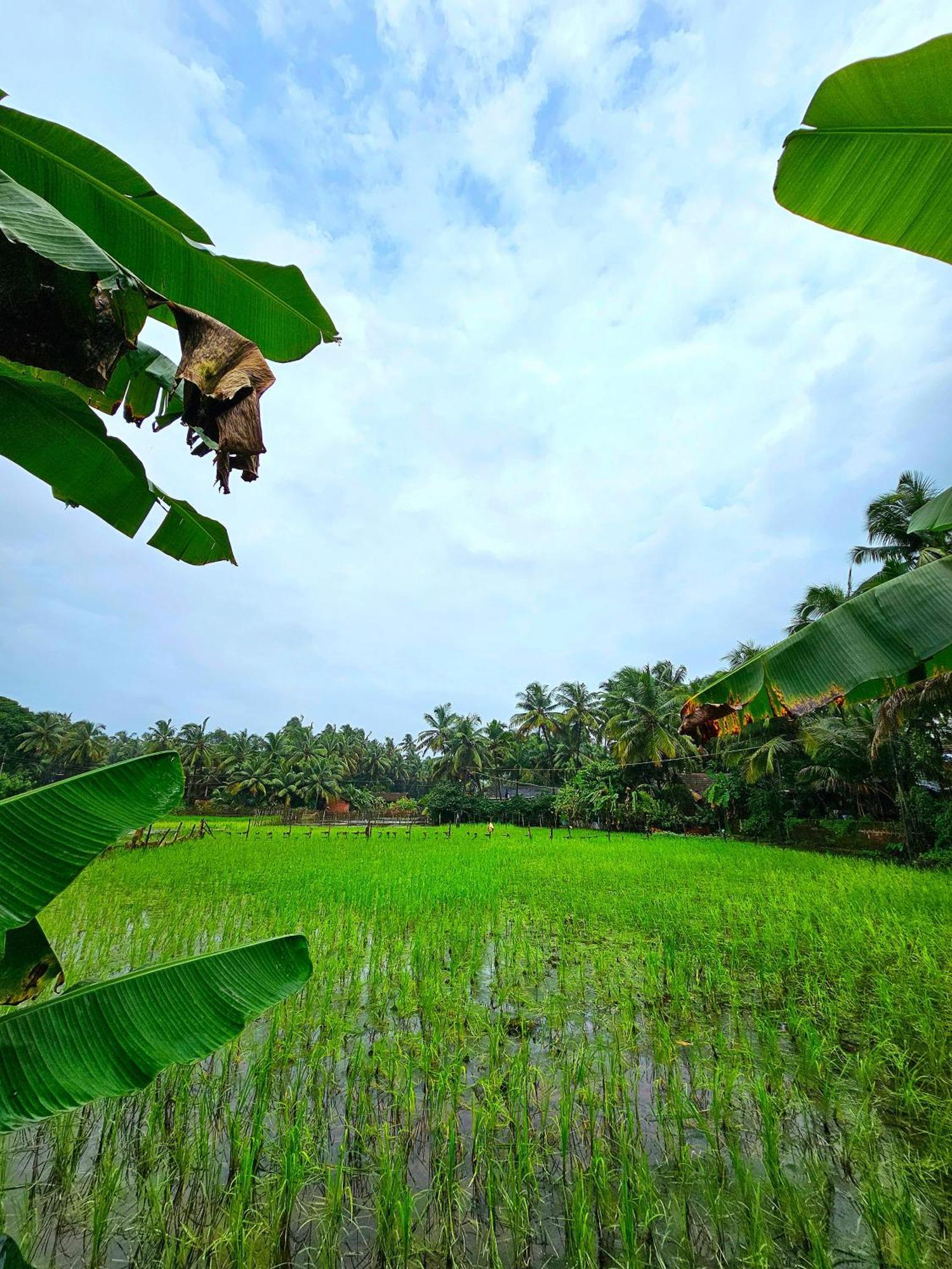The Beachwalk Stay - Your Pathway To The Beach Gokarna  Exterior foto